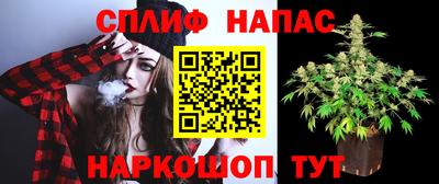 Альфа ПВП Будённовск