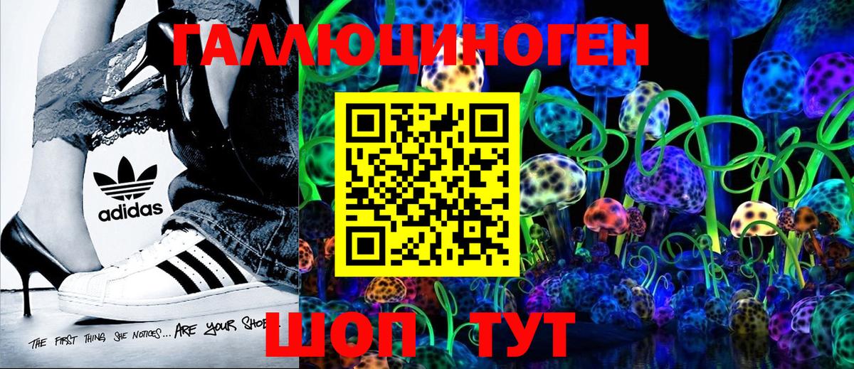 Галлюциногенные грибы Psilocybine cubensis Переславль-Залесский