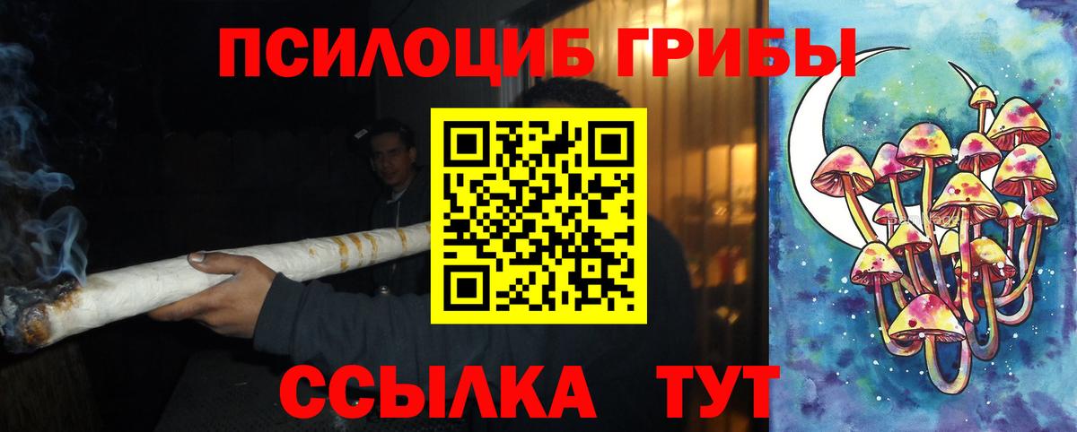 Псилоцибиновые грибы Psilocybe  Псилоцибиновые грибы Psilocybe  Вход с VPN  Переславль-Залесский 